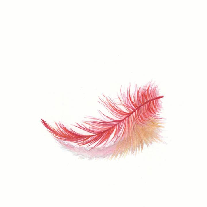 Karen Ritz Cards - Wholesale Everyday Greeting Card - Chicken Crossing Book Love Notecard3