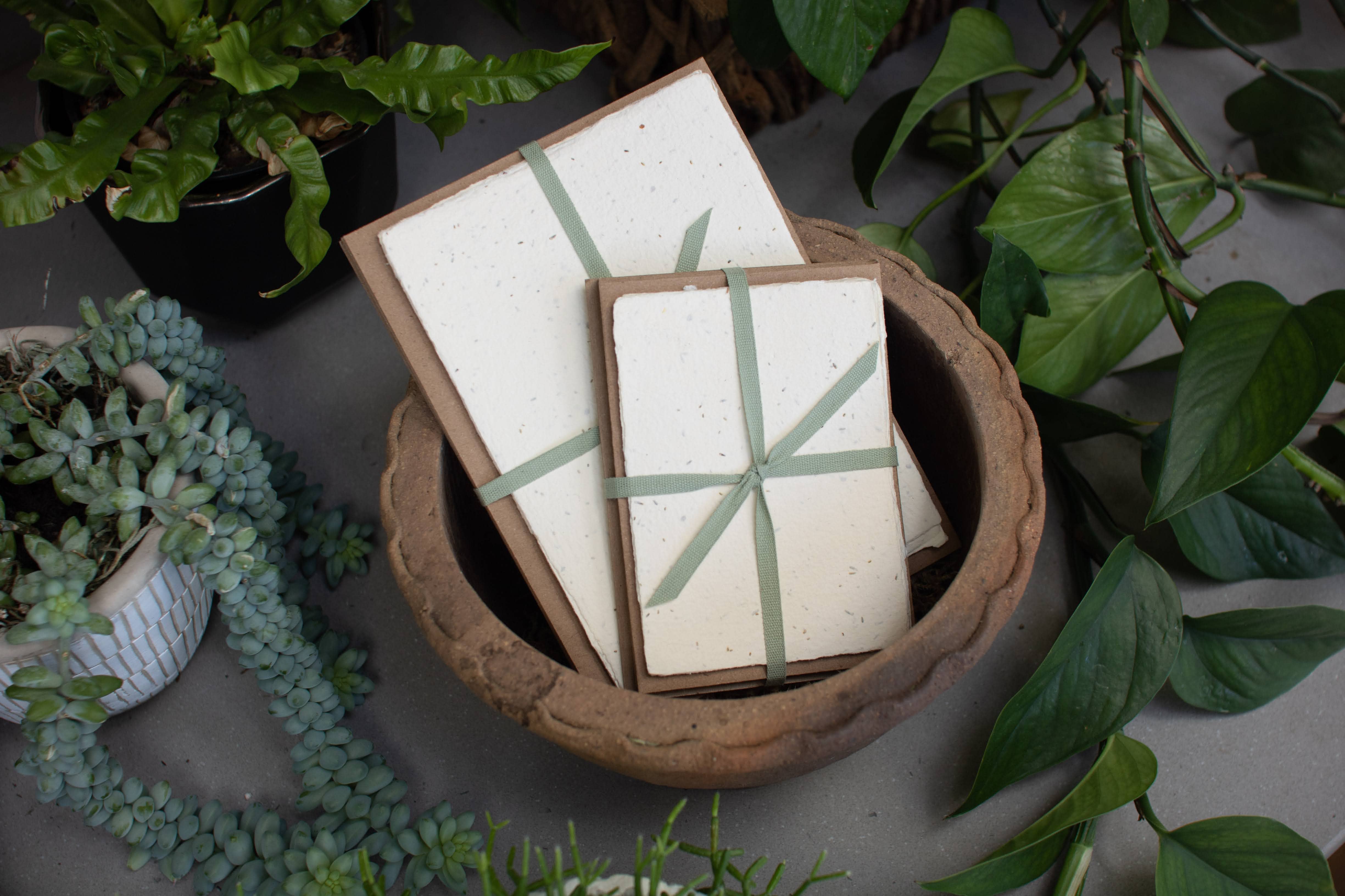 Oblation Papers & Press - Wholesale Stationery/Notecard Set - Seed Handmade Paper Pack2