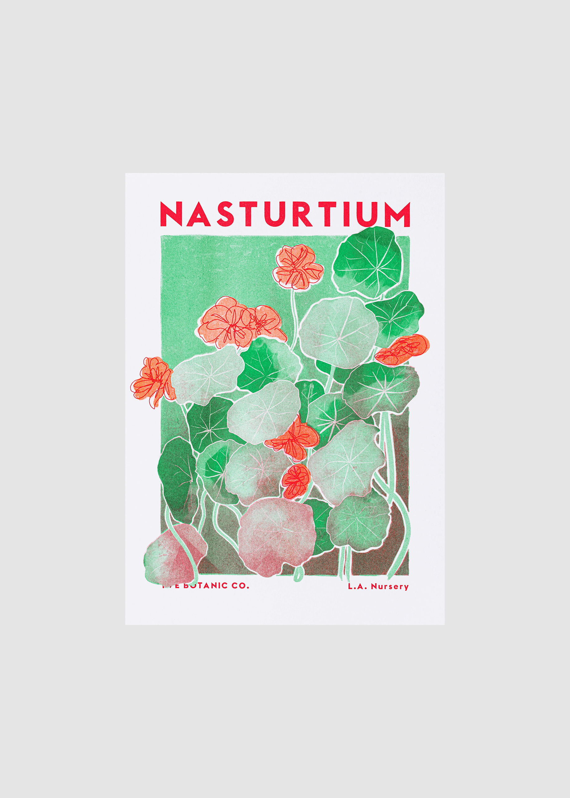 Eve Print Studio. - Wholesale Art Print - Nasturtium Flower Risograph Print2
