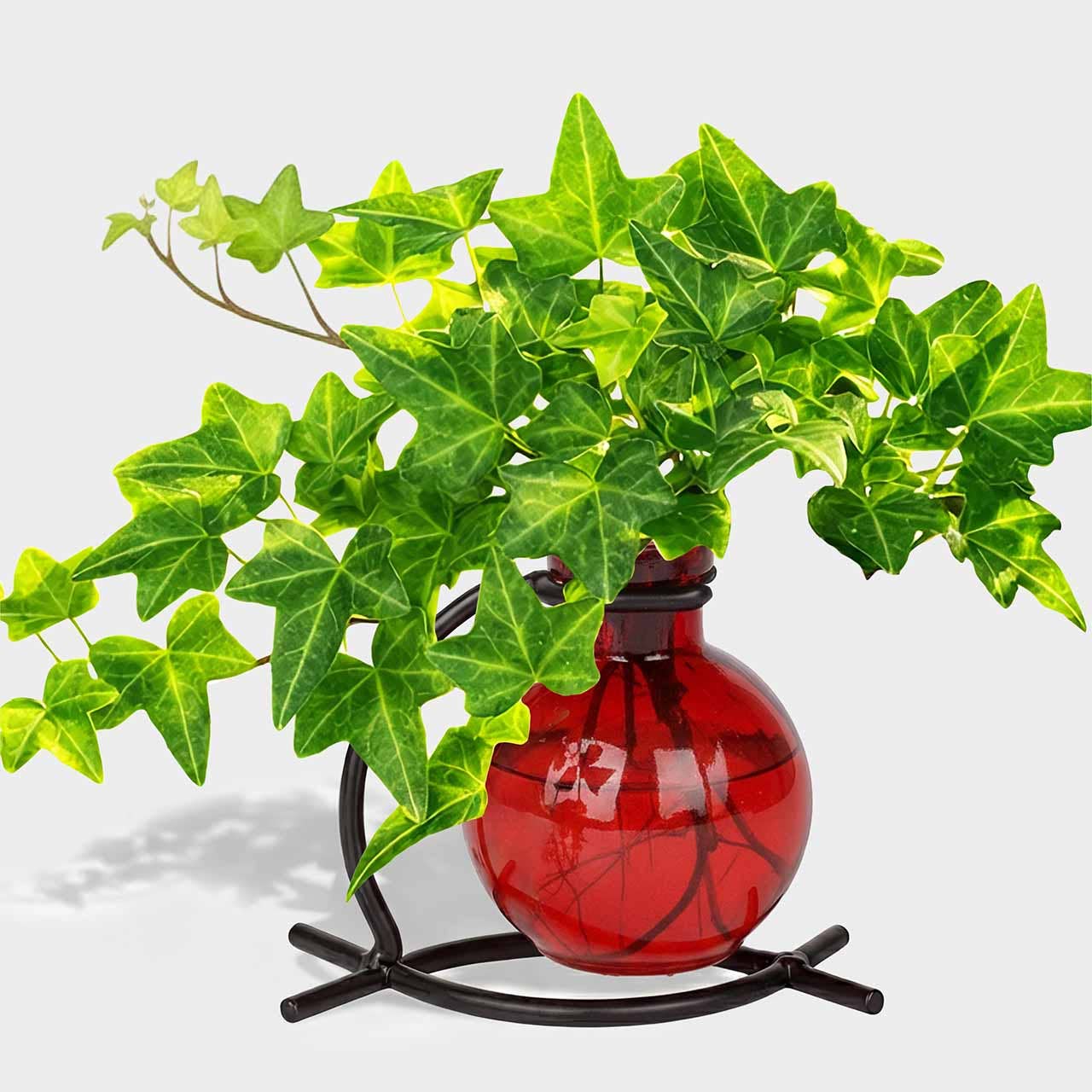 Couronne Co. - Wholesale Vase - Casablanca Vase, Red1