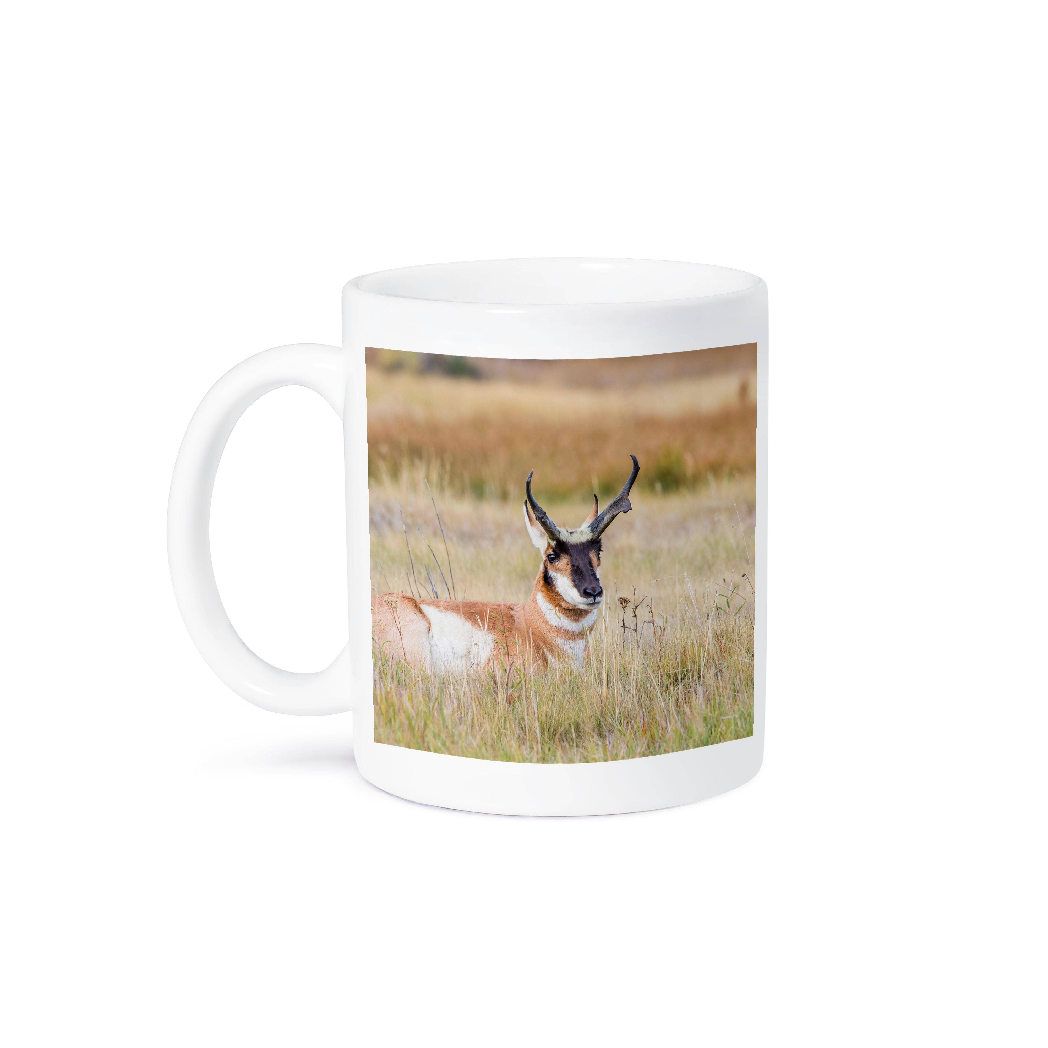 3dRose – Caneca por atacado – 3dRose, Wyoming, Condado de Sublette, antílope Pronghorn macho deitado na relva., Caneca8