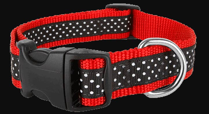 Pembroke Polka Dot Dog Collar for wholesale by Paw Paws USA