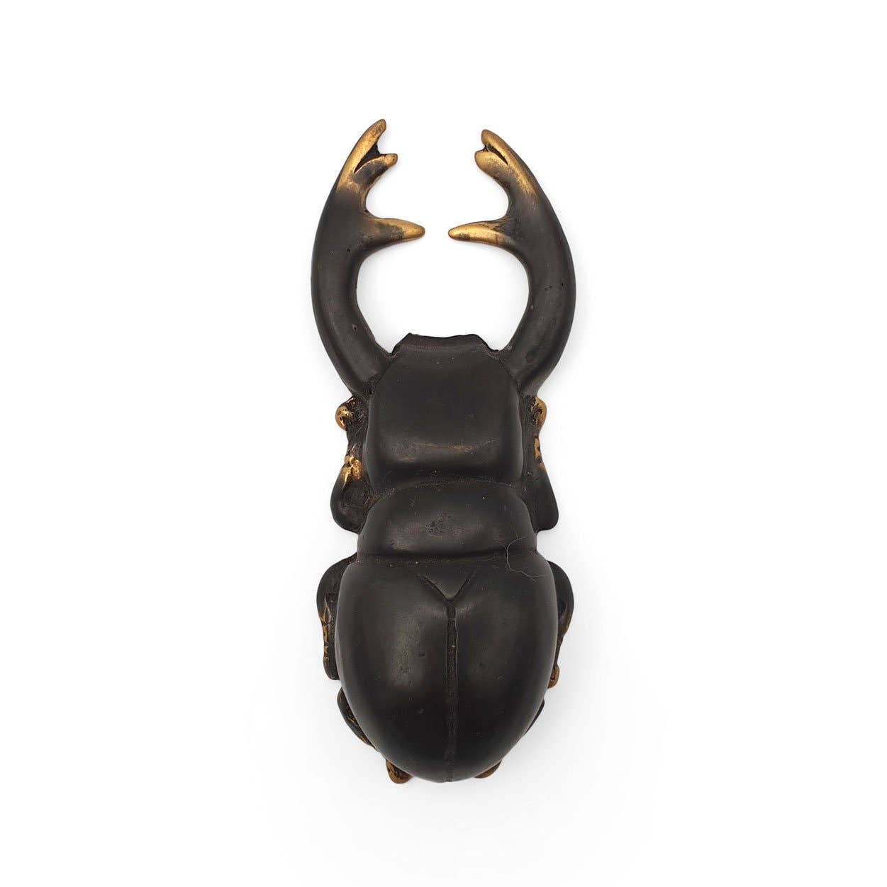 FERN - Wholesale Fles/wijnopener - Flesopener in de vorm van een Atlaskever1