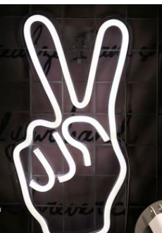 BlakOutlet - Wholesale Neonbord - LED neonlamp met acryl achterpaneel9