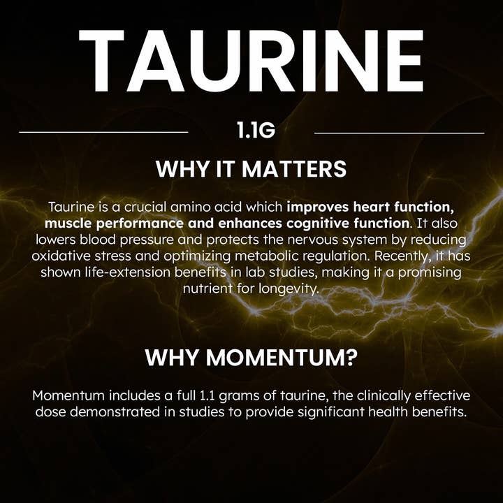 Momentum - Wholesale Protein/Superfood Powder - Longevity Protein Shake, Vanilla14