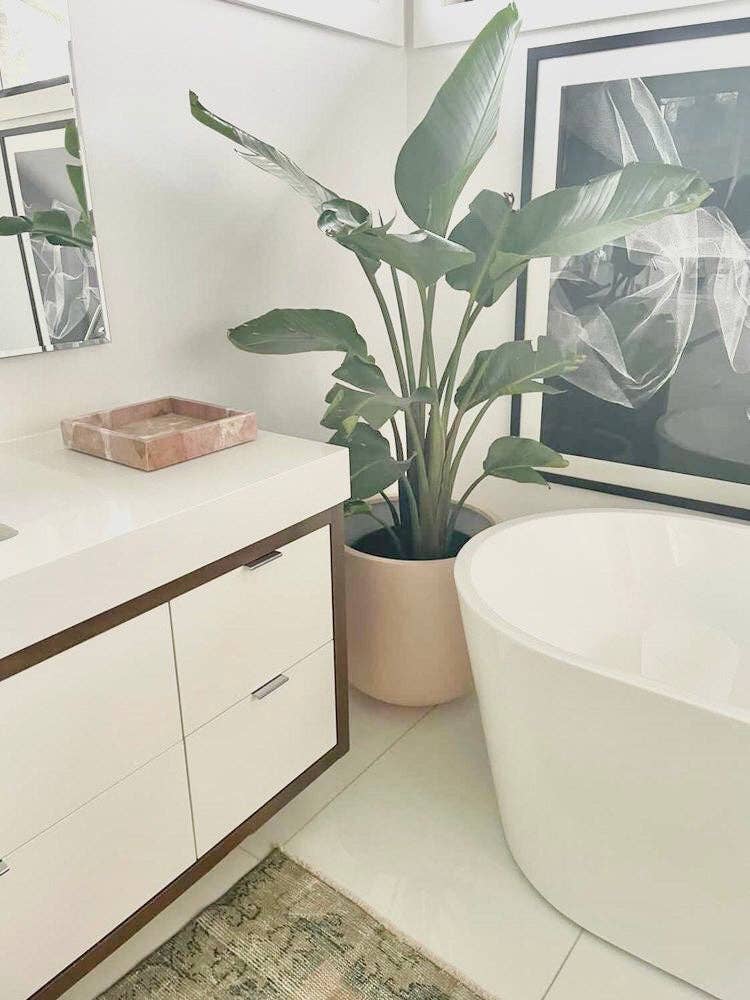 Common House Studio - Vendita all'ingrosso Vasi per piante - VASO ESSENZIALE | FIORIERA7