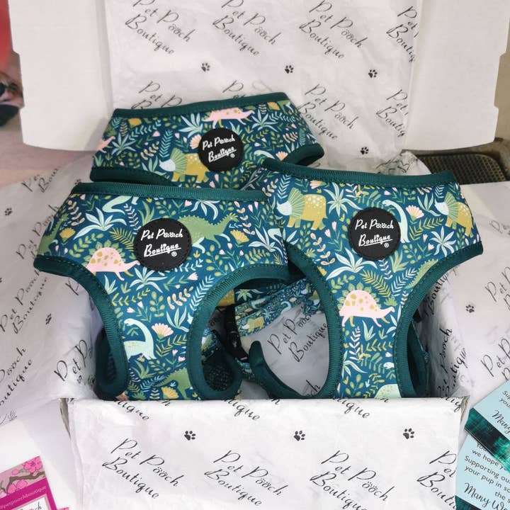 Dino Rawr Dinosaur Dog Harness With Optional Bow Tie for wholesale by Pet Pooch Boutique