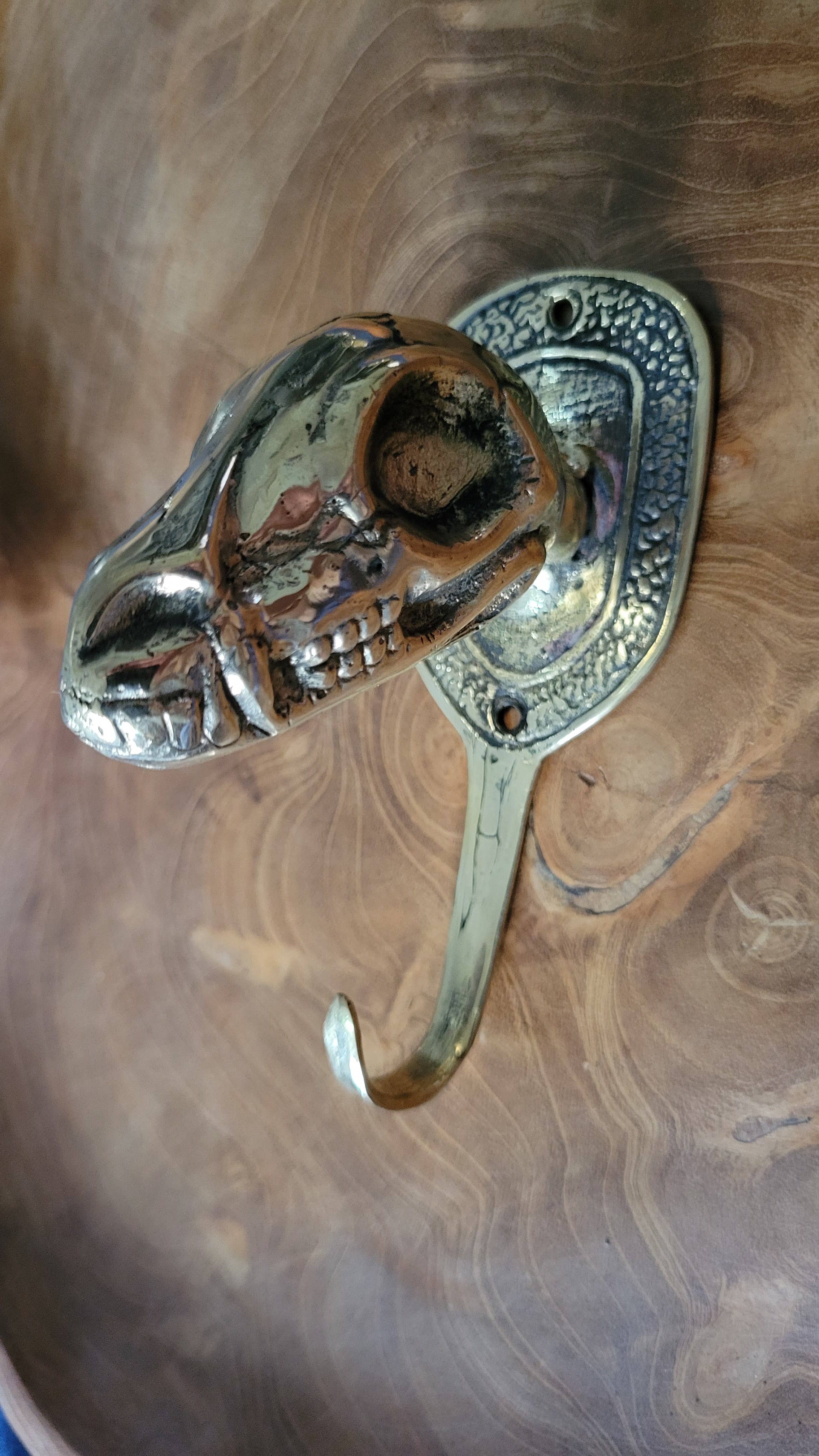 Ubud Glass - Wholesale Muurhaak - Dinosaur Skull haken0