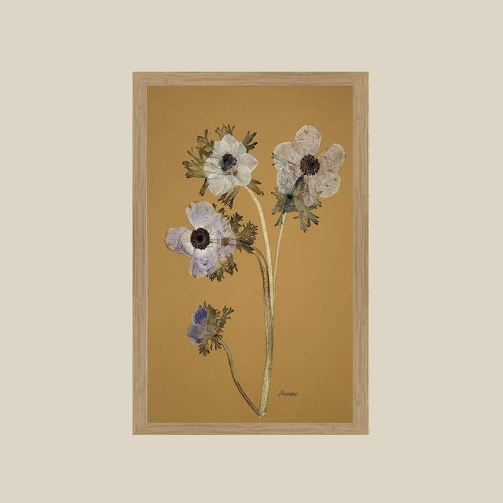 The Fleur De Lis House - Wholesale Art Print - Anenome on Mustard3