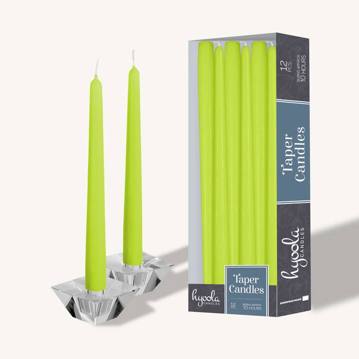 Velas cónicas Lime, 12 pulgadas, paquete de 12 para venta al por mayor de Hyoola Candles