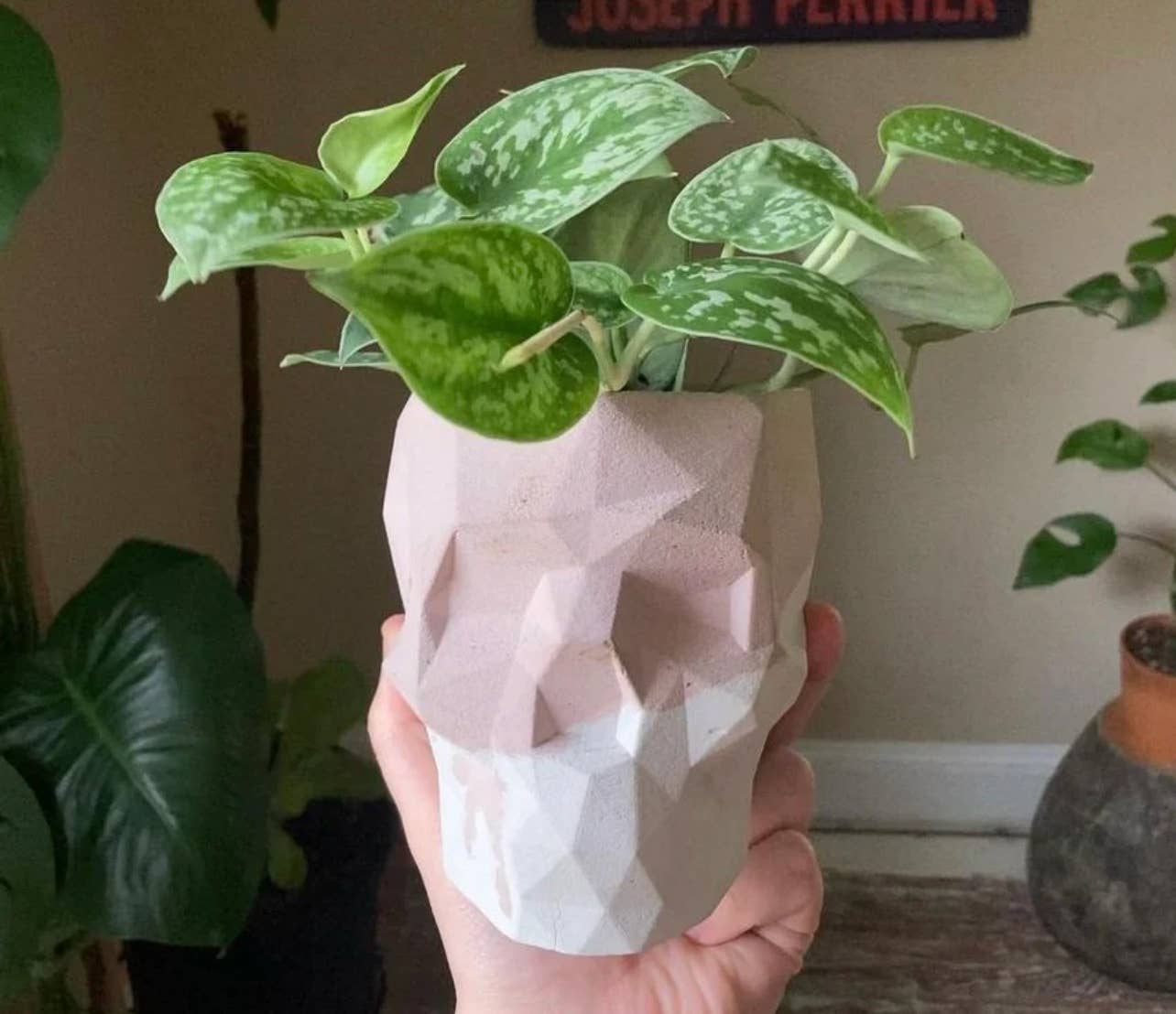 Queen City Crete - Vendita all'ingrosso Vasi per piante - Vaso da fiori Victor Geometric Concrete Skull 1