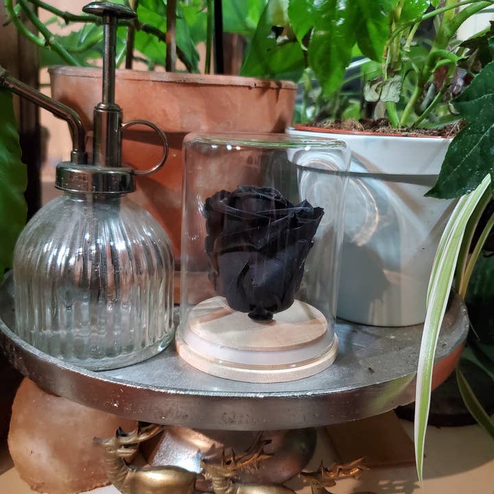 A'Rt VEGETAL CREATION - Wholesale Artificial Flowers - Eternal rose under bell2