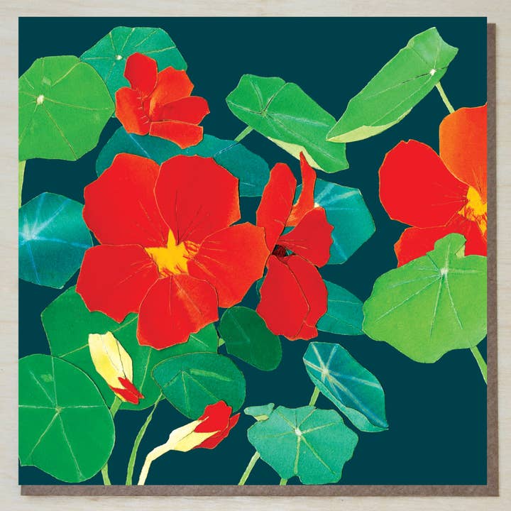 Nasturtium Card (flowers) for wholesale by Windsock Press