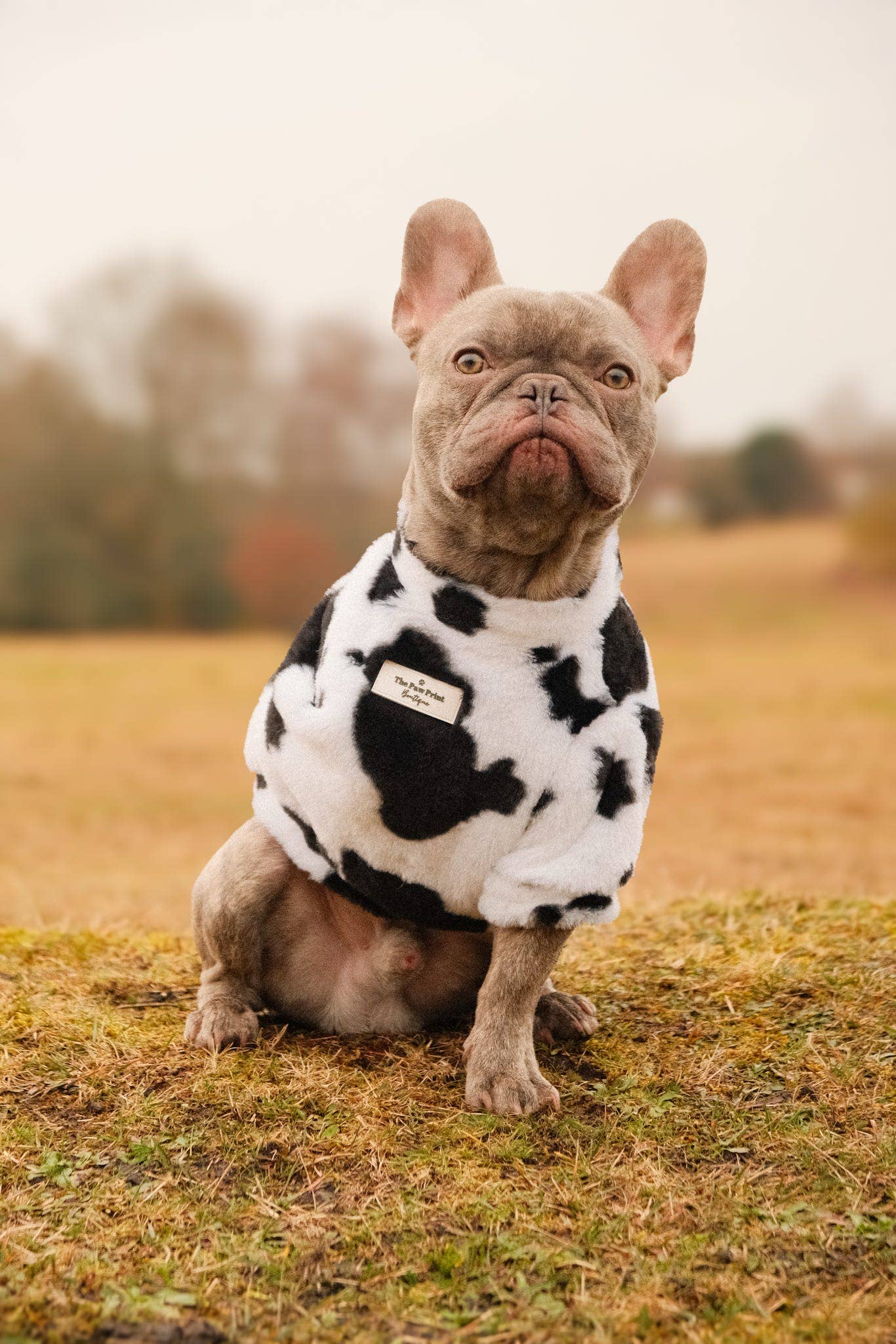 The Paw Print Boutique - Wholesale Pet Coat - Dog - The Cow Print Fluffy & Fabulous Fleece14