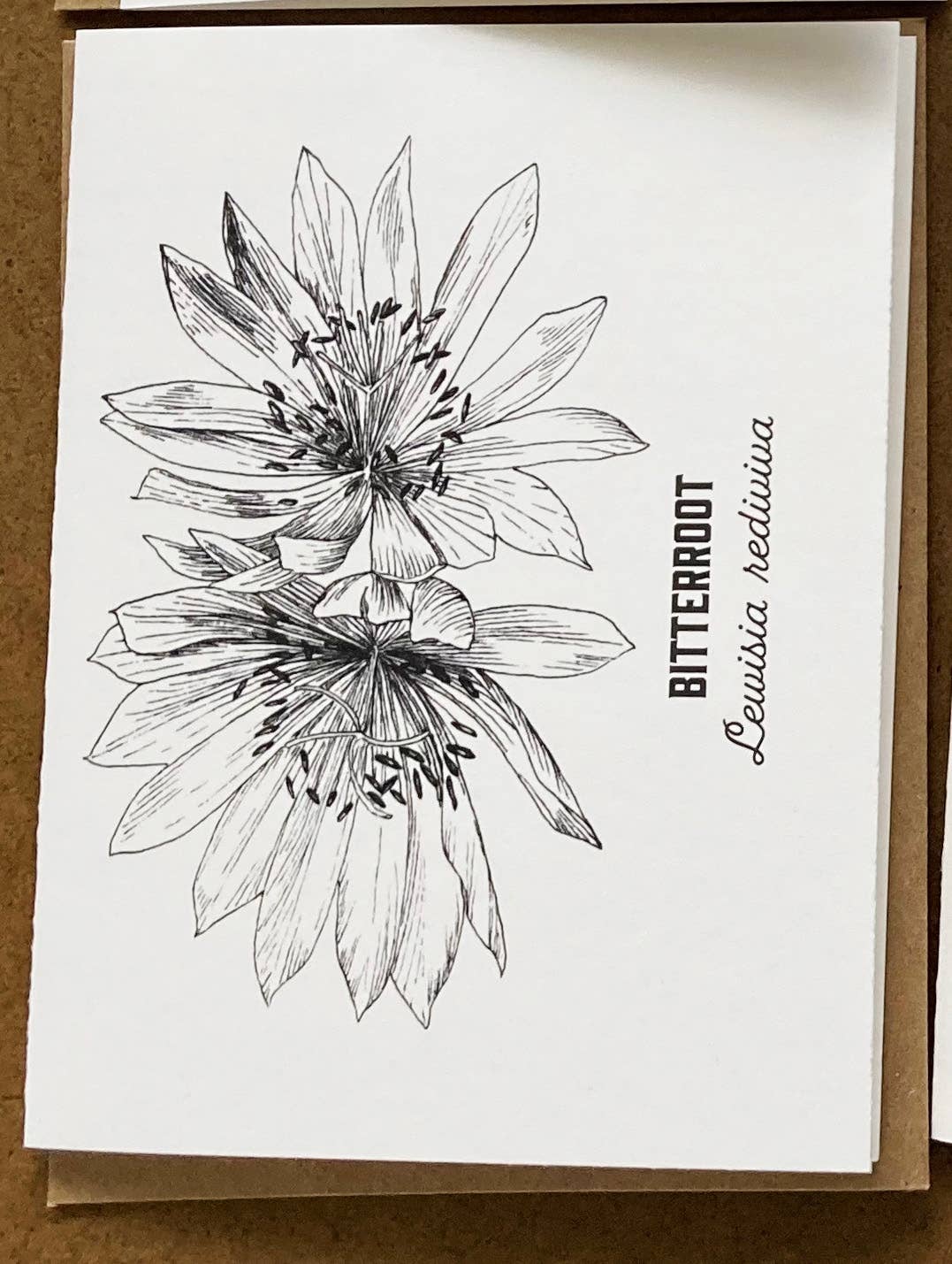Madrona Press - Wholesale DIY Craft Kit - Watercolor Card Kit - 1 Wildflower Card7