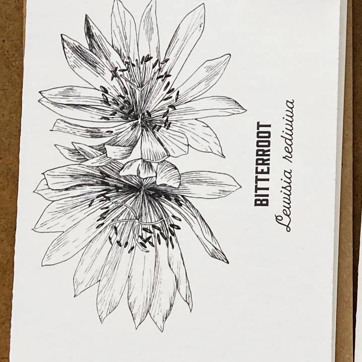 Madrona Press - Wholesale DIY Craft Kit - Watercolor Greeting Card Kit - Wildflower 6 Cards6