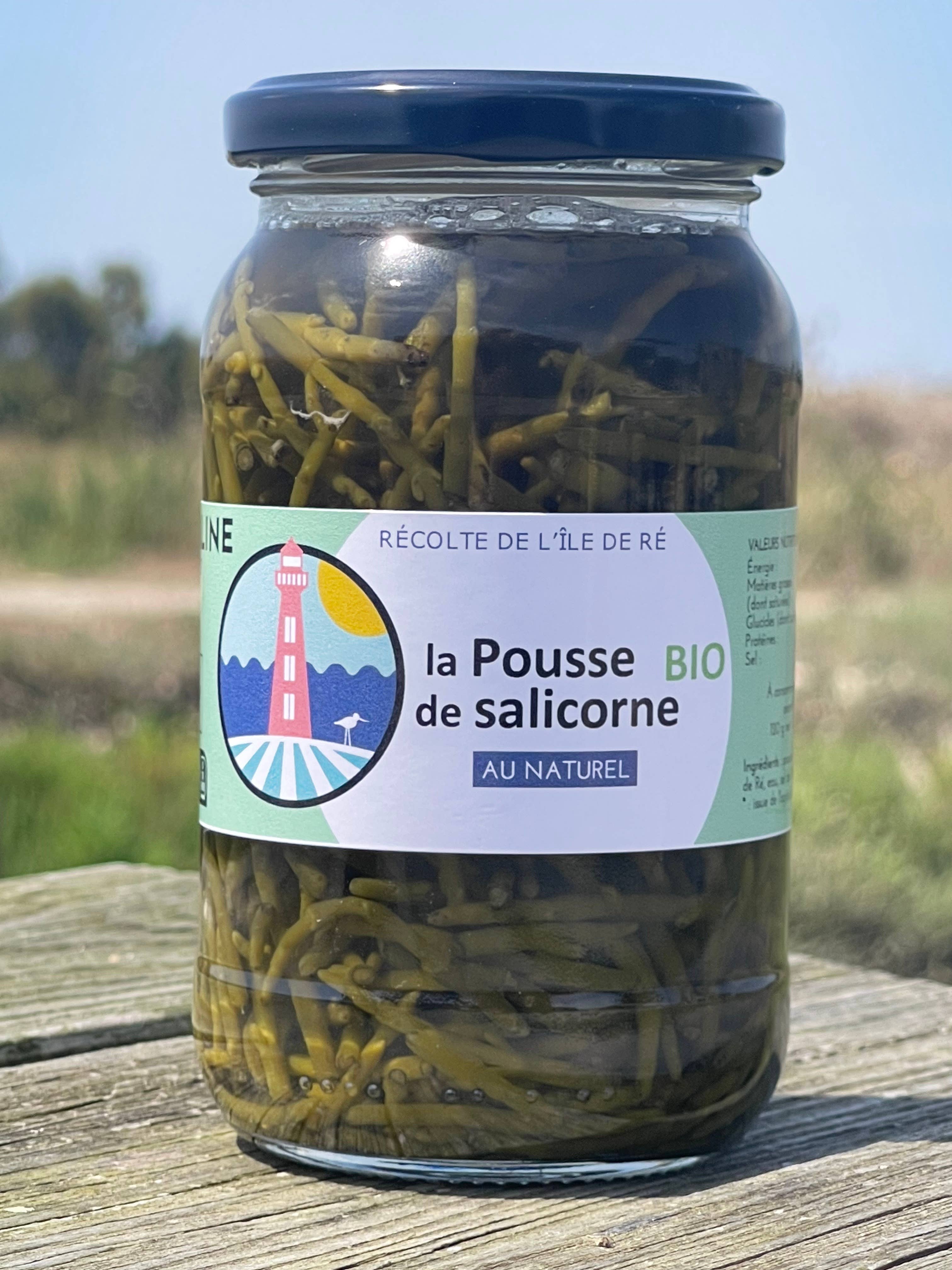 Terre Saline - Wholesale Pickled Vegetables - Natural organic samphire sprout 120 g0