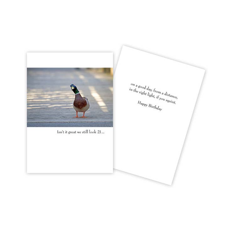 Duck Funny Birthday Card for wholesale by Sun Day Greetings