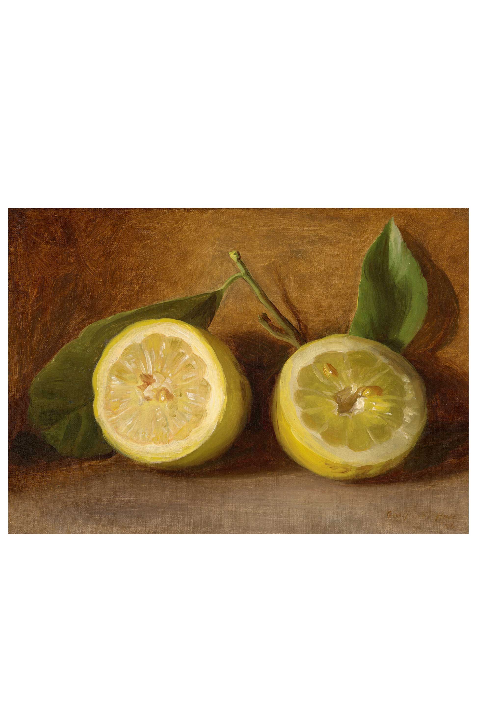 Lazybones - Wholesale Art Print - Art print set - The Naturalist6