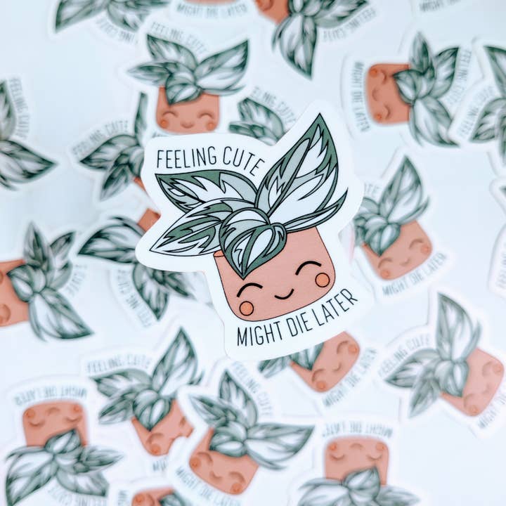 BumbleB Graphic Design - Wholesale Sticker - Feeling Cute Vinyl Sticker5