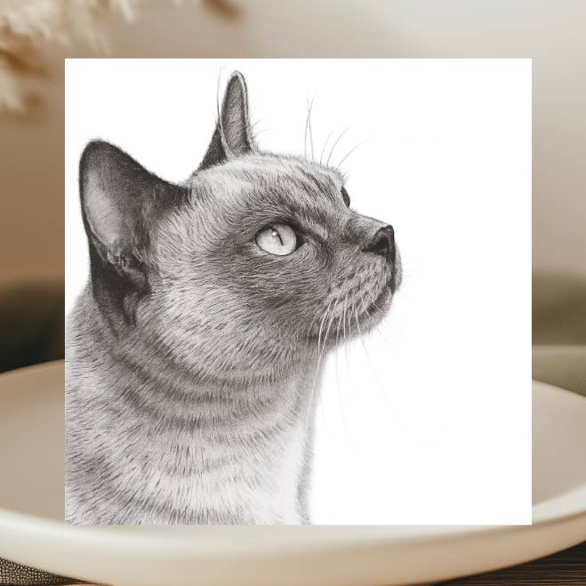 Carte de vœux dessinée à la main Lola le Chat pour la vente par Libra Fine Arts