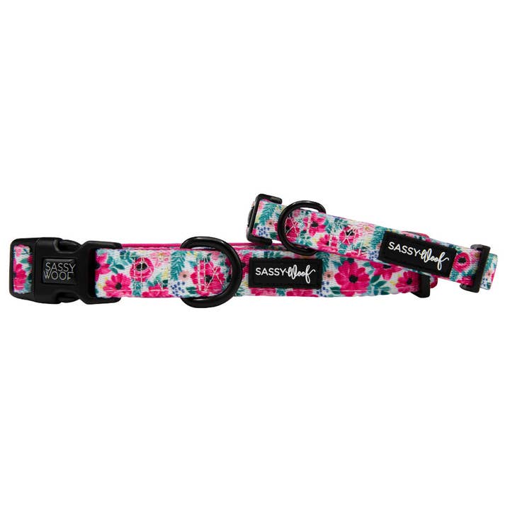 Dog Collar - Floral Frenzy for wholesale by SASSY WOOF