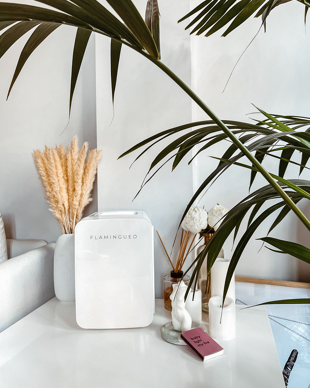 Flamingueo - Wholesale Portable/Mini Fridge - Mini Refrigerator 10L - Cosmetic Fridge White Color EU PLUG9