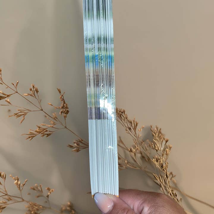 ProDen PlaqueOff - Wholesale Pet Food - Dog - ProDen PlaqueOff Product Flyers (Bundle of 25)1