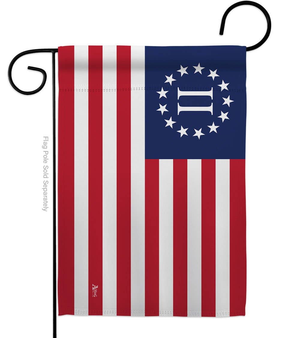 Two Group Flag Co – Großhandel Flagge – Zweite amerikanische Revolution Americana Historische US-Flagge0
