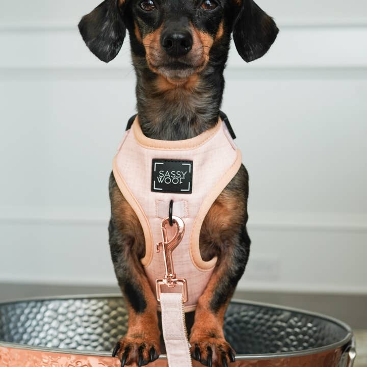 SASSY WOOF - Wholesale Pet Harness - Dog - Dog Adjustable Harness - Pinot16