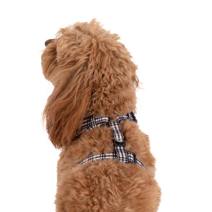 Big and Little Dogs - Wholesale Pet Harness - Dog - ADJUSTABLE DOG HARNESS: Nova Plaid