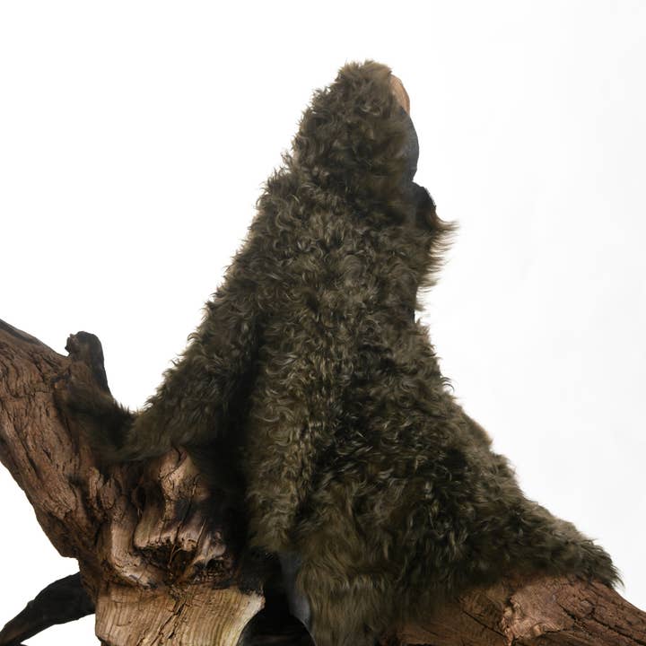 Peau d’Agneau Teintée – Laine Bouclée Vert Olive pour la vente par MAISON SOLER TANNERIE