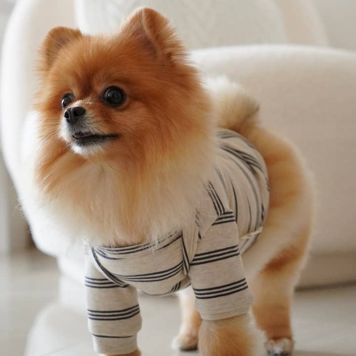 Lambwolf Collective - Vendita all'ingrosso Camicia - Cani - CHELSEA//Abbigliamento per cani// T-shirt per cani