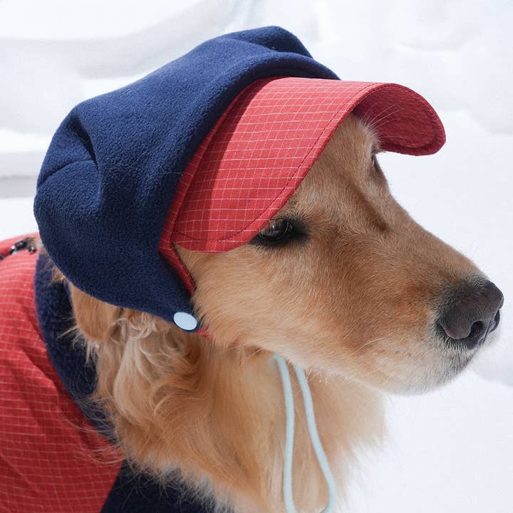 Puppy Gallery - Wholesale Pet Hat - Dog - Ear Cover Fleece Hat10