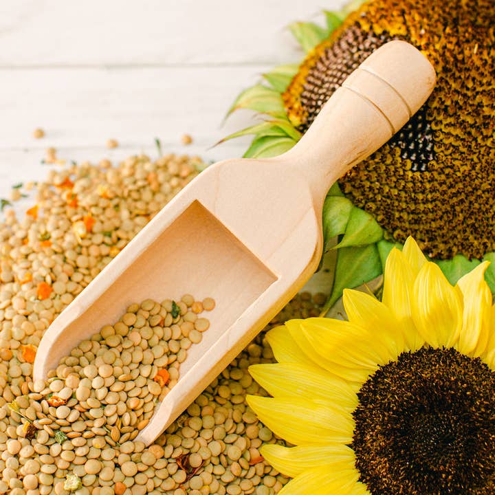 Woodpeckers Crafts - Wholesale Craft Supplies - Wooden Scooper