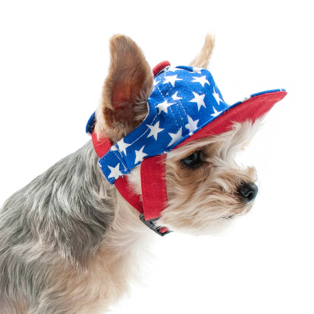 Dogo Pet - Wholesale Pet Hat - Dog - Star Hat8