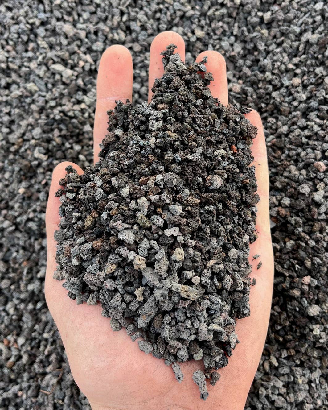 Ivy May Co - Wholesale Planting/Potting Soil - Bulk Amendments- 3/16" Black Lava Rock (5 Gallons)2