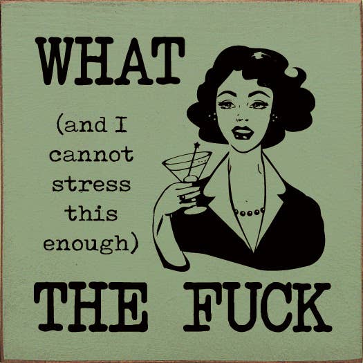 SAWDUST CITY – Großhandel Schilder – What (und ich kann es wirklich nicht genug betonen) The Fuck Holzschild2