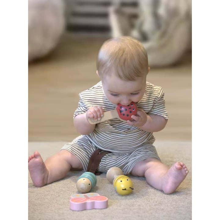 ToysLink - Wholesale Musical toy – Kids & baby - Wooden Happy Spring Animals Musical Instruments Set2