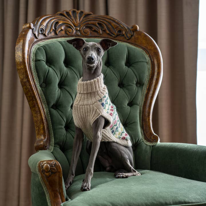 Alqo Wasi - Wholesale Pet Sweater - Dog - Flower Alpaca Dog Sweater1