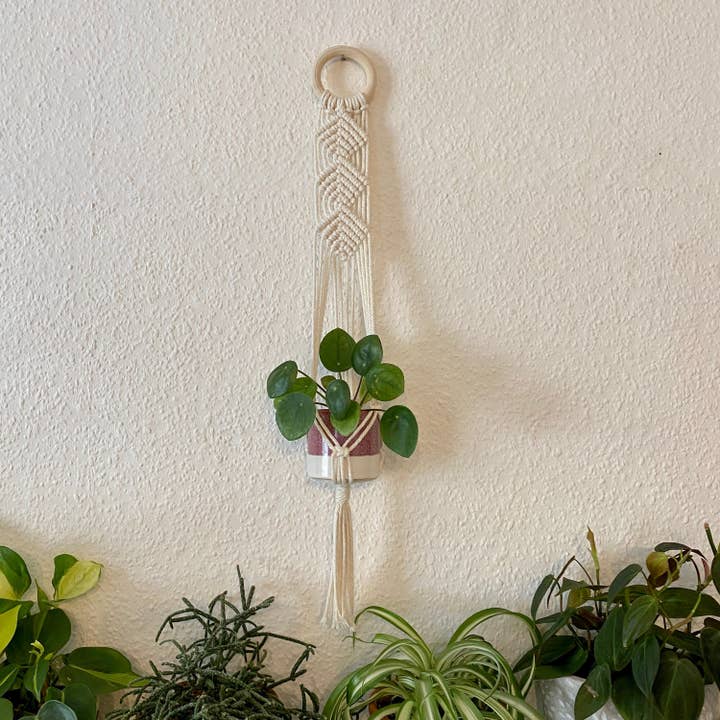 Luna Crafts - Vendita all'ingrosso Fioriere a sospensione - Appendiabiti da parete in macramè - seashell bianco