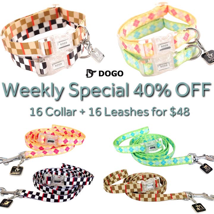 Dogo Pet - Wholesale Pet Collar - Dog - Contempo Collar & Leash Combo - Weekly Special Limit 2/Store
