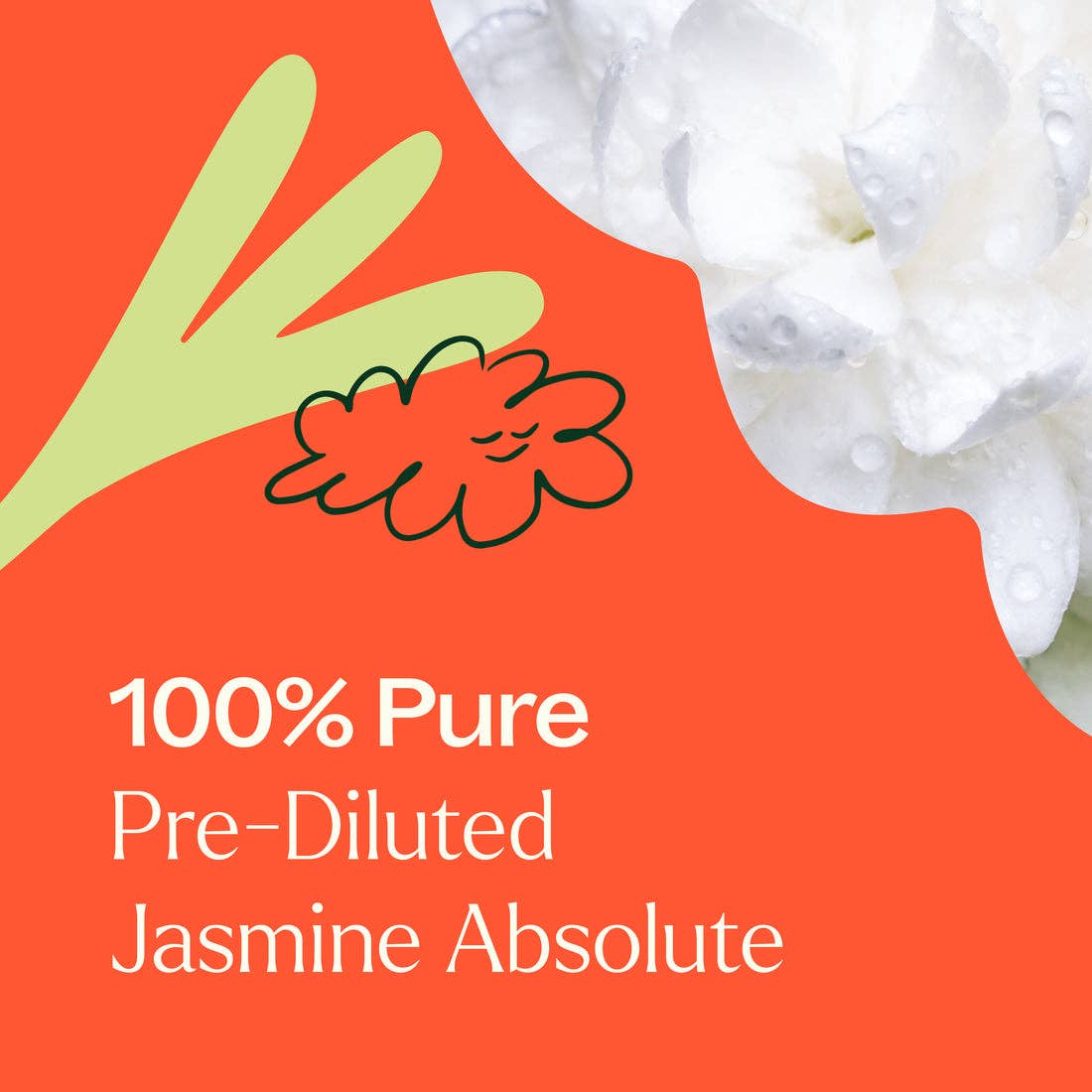 Plant Therapy - Wholesale Essential Oil Roll-On - Jasmine Sambac Pure Absolute Pre-Diluted Roll-On4