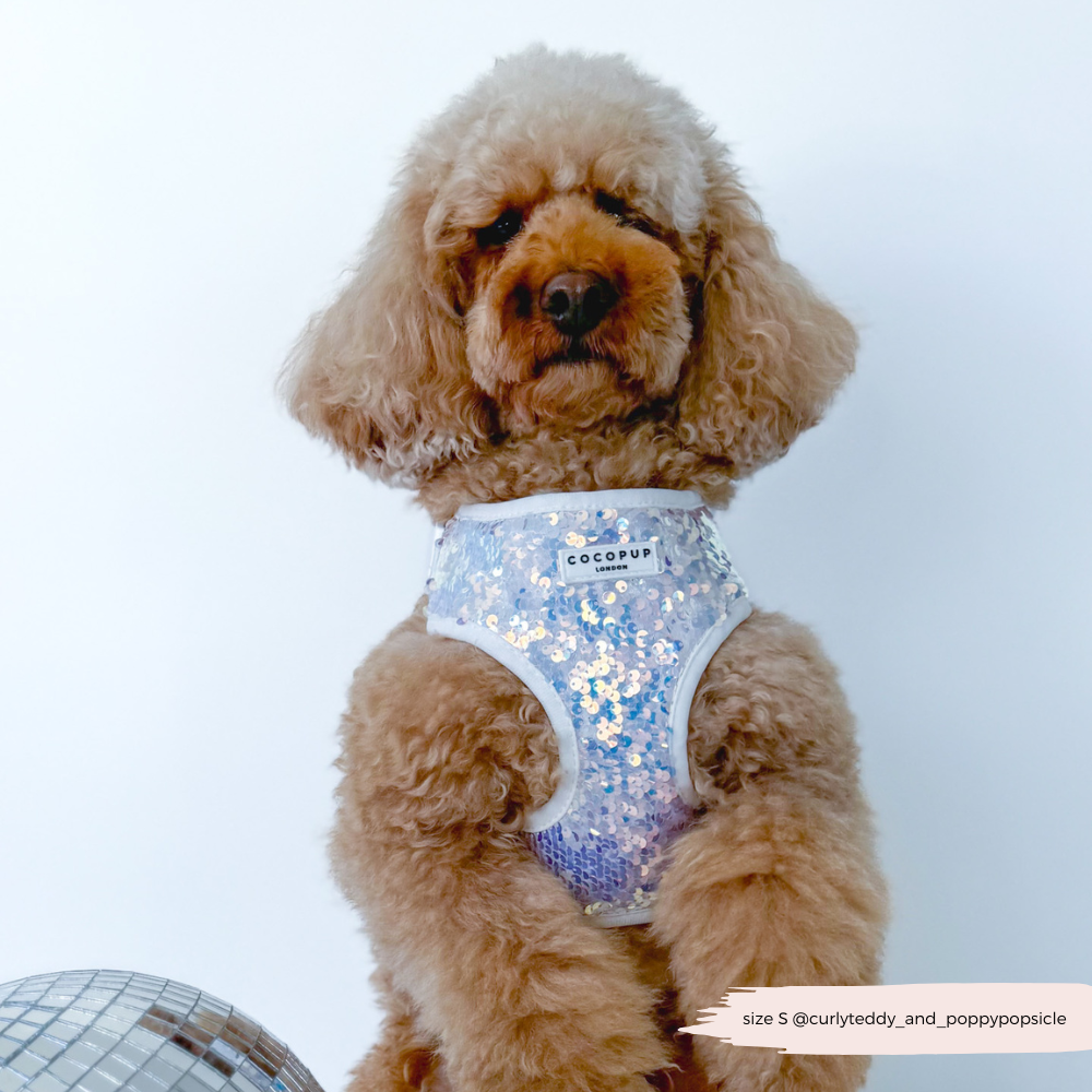 Cocopup London - Vendita all'ingrosso Pettorina - Cani - Imbracatura LUXE Party con Paillettes Olografiche19