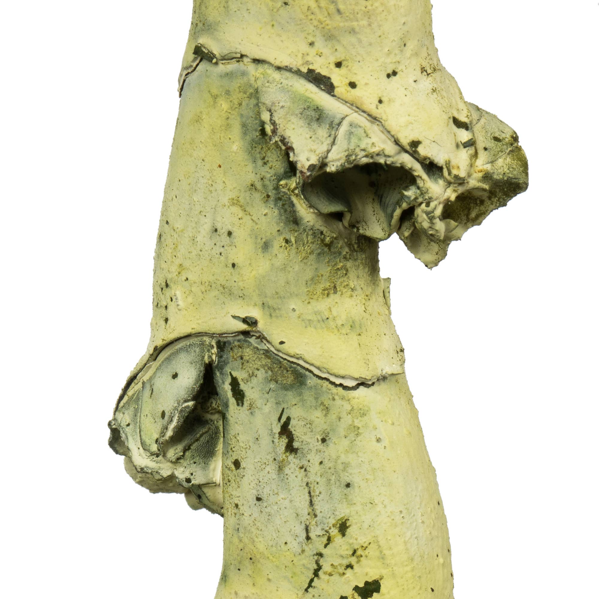 Vickerman 40-48" Spring Green Ladder Branches 7Pk for wholesale on Faire1