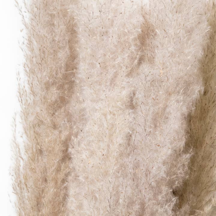 Andaluca - Wholesale Dried/Pressed Flowers - Pampas Grass 45" Bundles