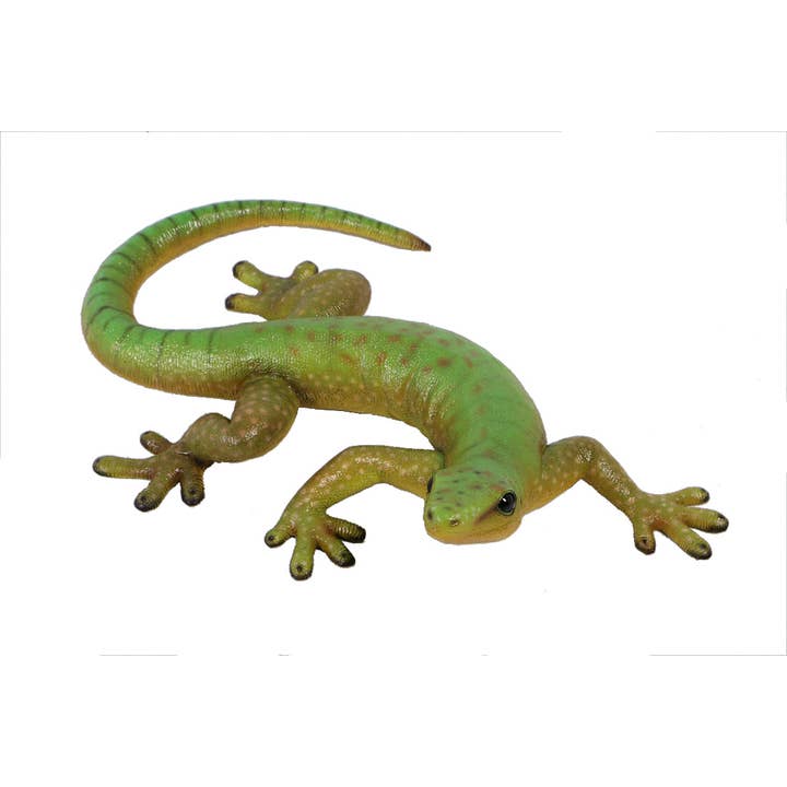 Gecko 25.25 X 16.75 X 5.25 inches for wholesale by Nautical Tropical Imports