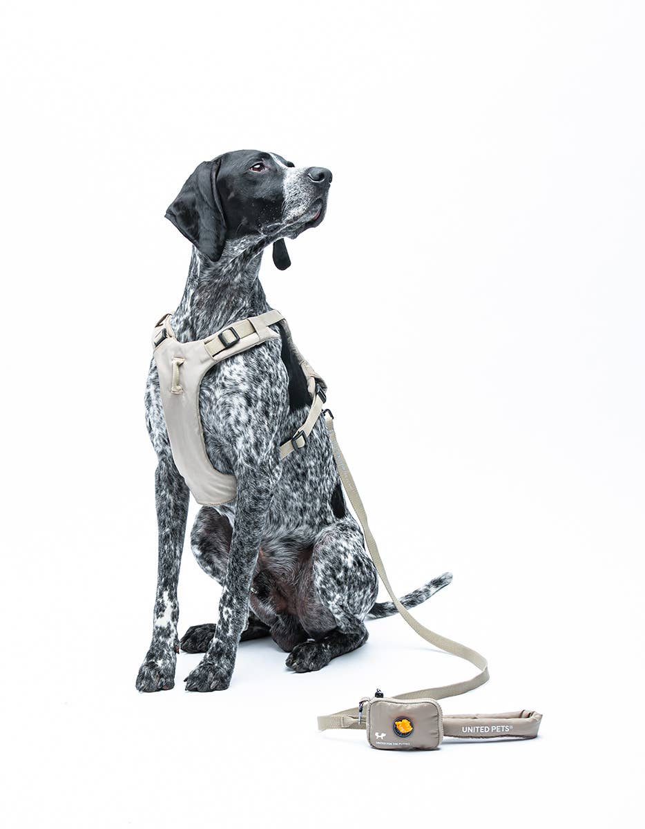 United Pets - Vente Laisse – chien - Harnais rembourré doux pour chien13