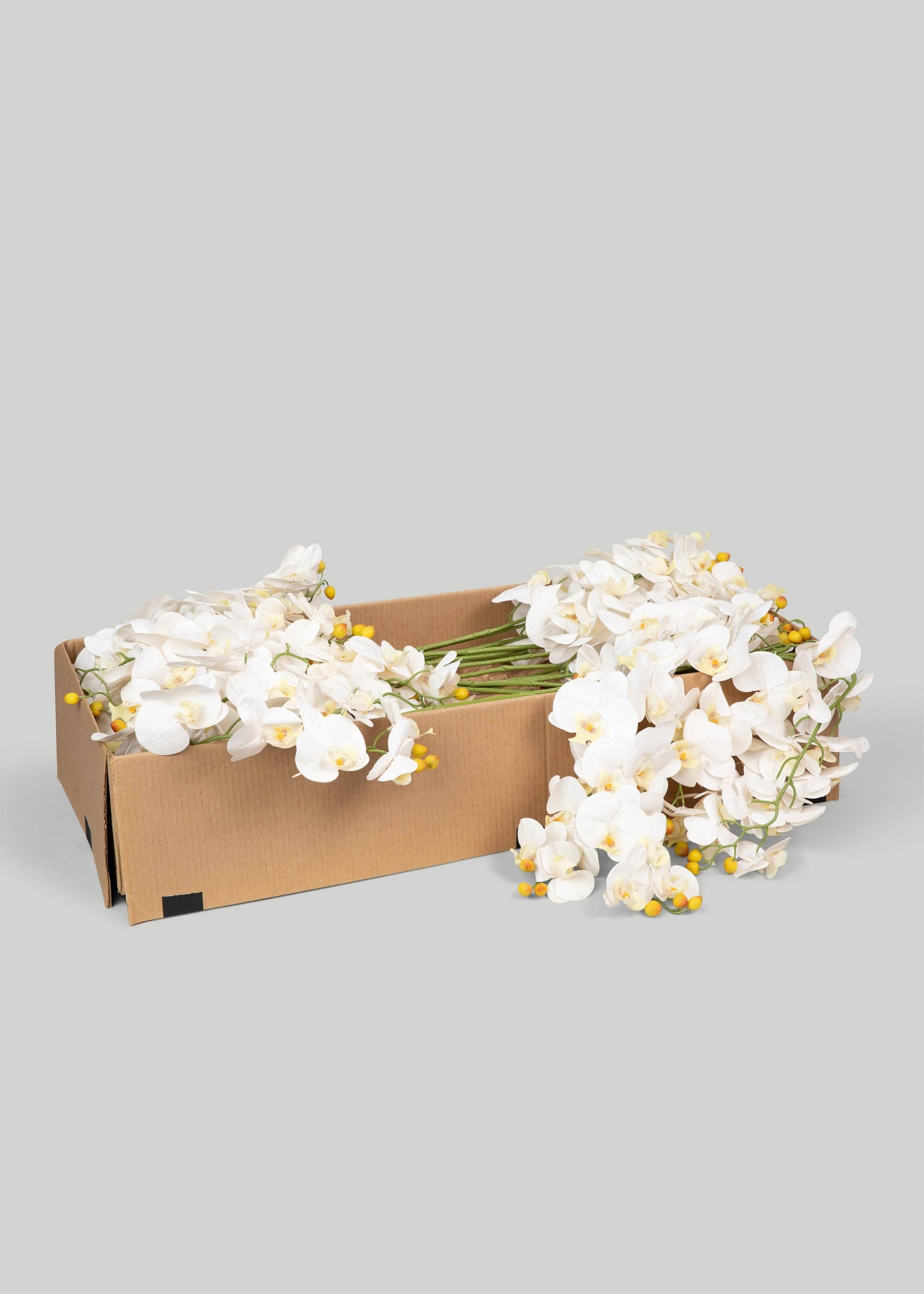 Afloral - Wholesale Artificial Flowers - Case of 48 Stems - Faux Real Touch Orchids in White - 36"1