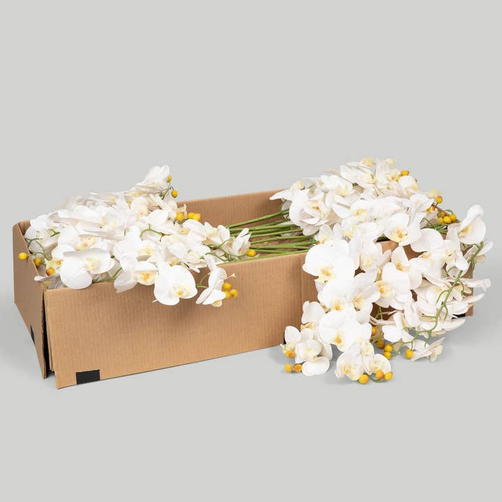 Afloral - Wholesale Artificial Flowers - Case of 48 Stems - Faux Real Touch Orchids in White - 36"1